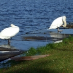 Hochwasser_1630